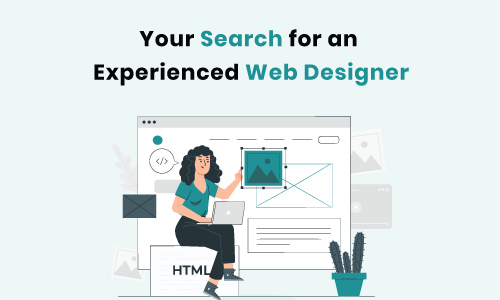 Your Search for an Experienced Web Designer